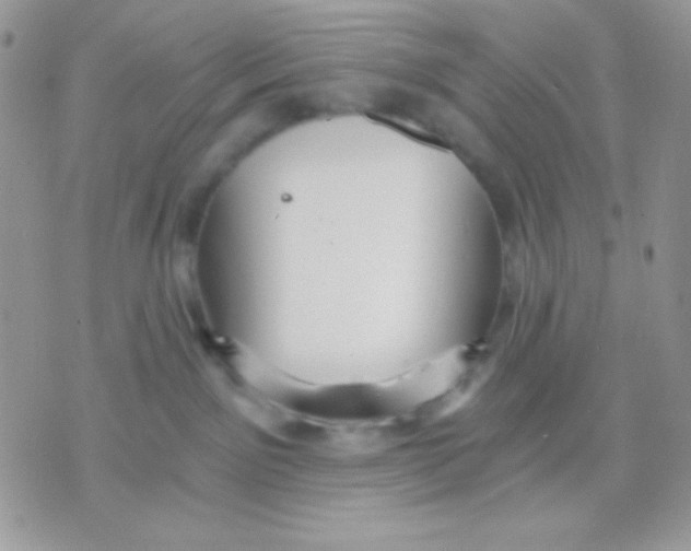 X0000071330141200607212016