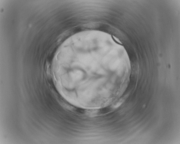 X0000071330143200607212016