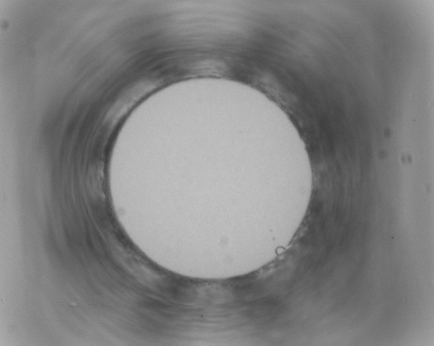 X0000071330146200607212015