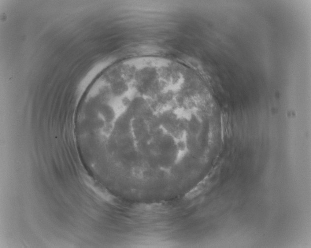 X0000071330147200607212016