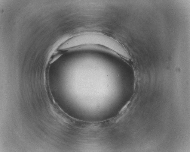 X0000071330148200607212016