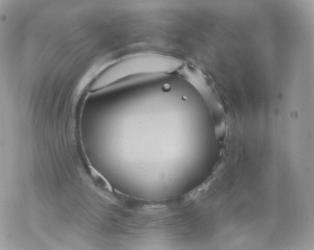 X0000071330150200607212016