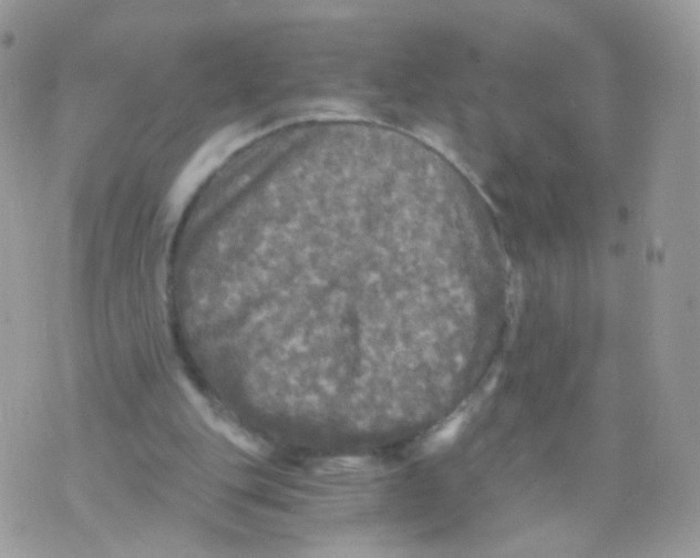 X0000071330151200607212016