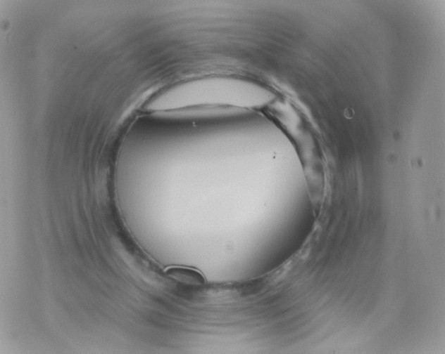 X0000071330154200607212016