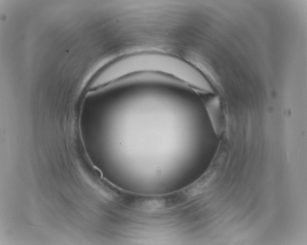 X0000071330156200607212016