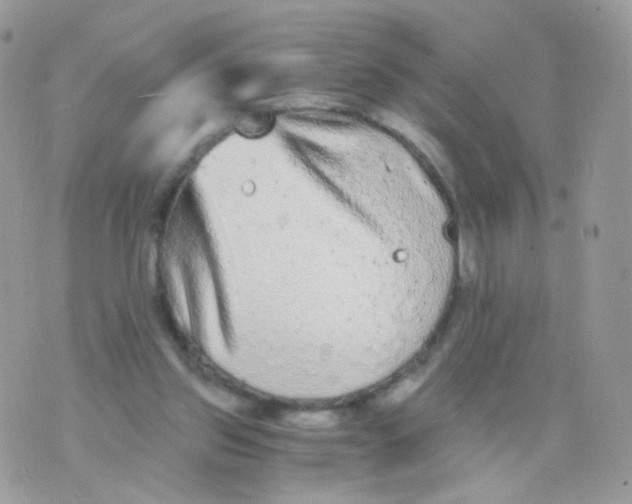 X0000071330157200607212016