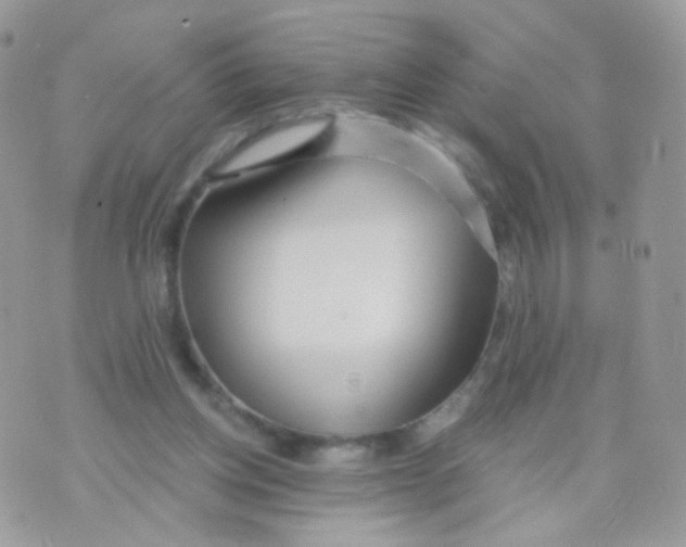 X0000071330158200607212016