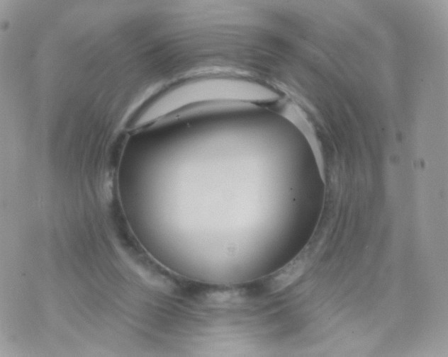 X0000071330160200607212016