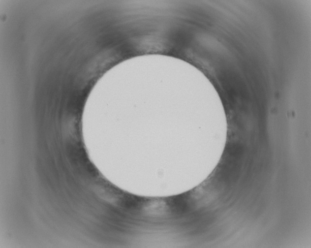 X0000071330162200607212016