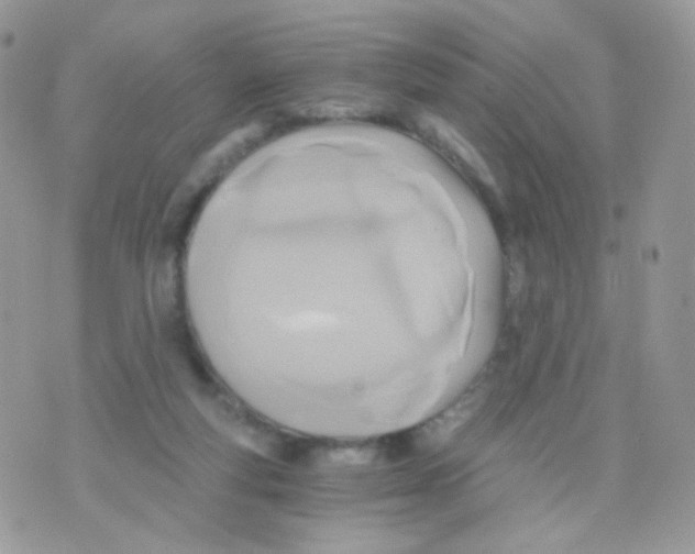 X0000071330163200607212016