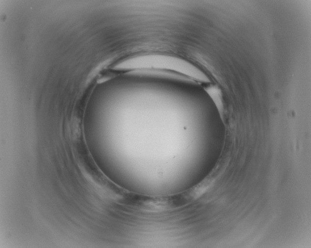 X0000071330164200607212016