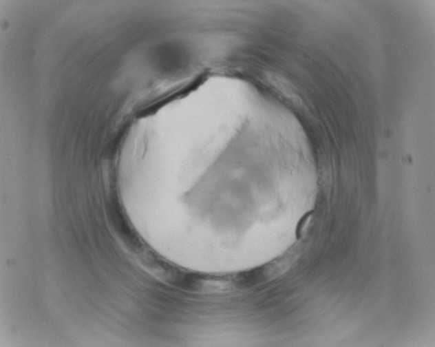 X0000071330167200607212016