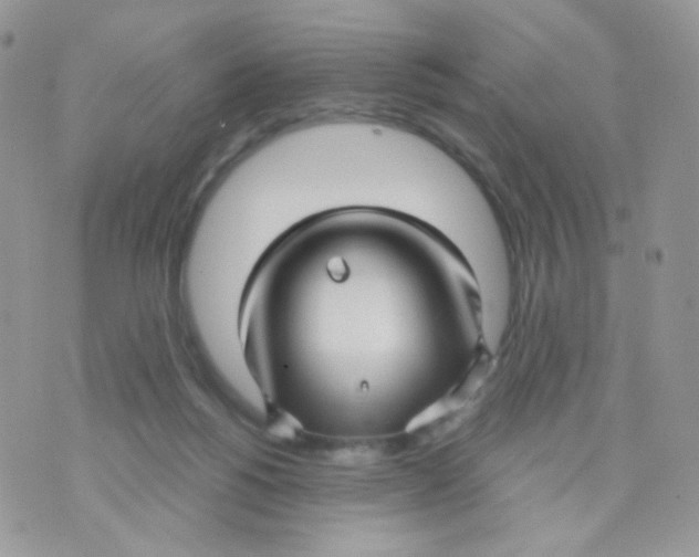 X0000071330168200607212016