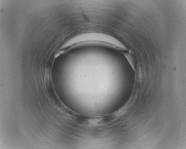 X0000071330172200607212016