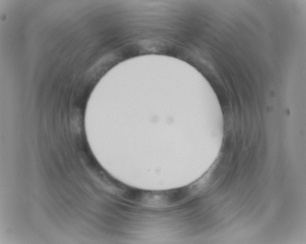 X0000071330174200607212016