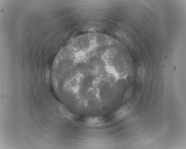 X0000071330177200607212016