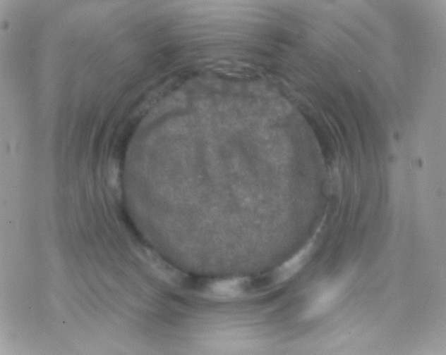 X0000071330178200607212016