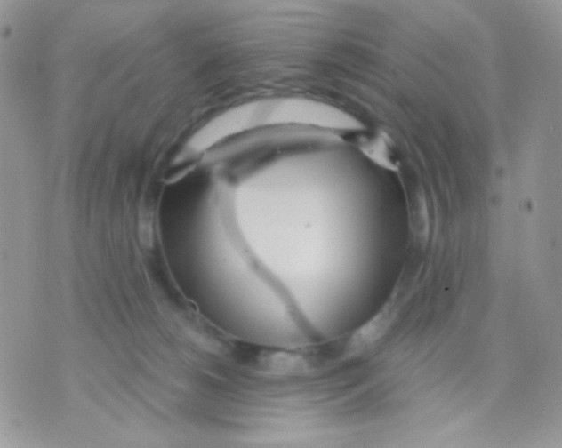 X0000071330180200607212016