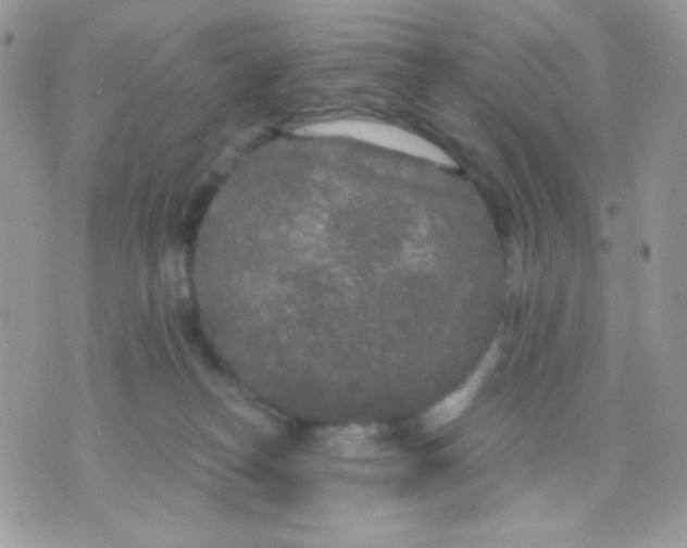 X0000071330182200607212016