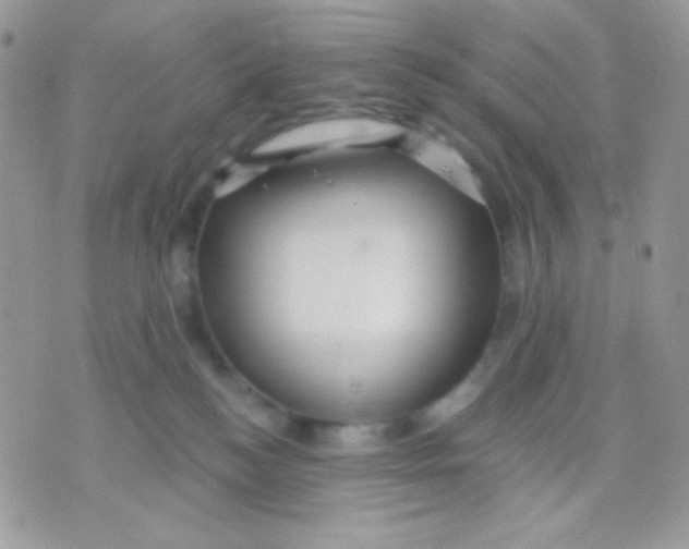 X0000071330184200607212016