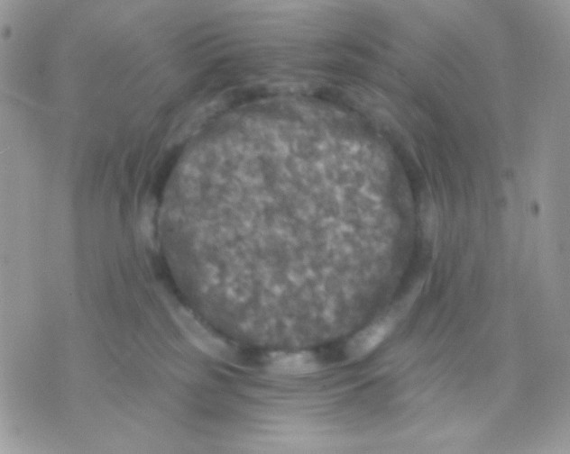 X0000071330185200607212016