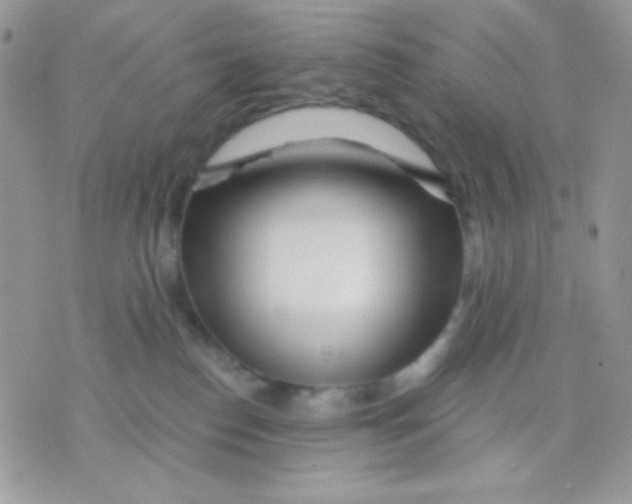 X0000071330186200607212016