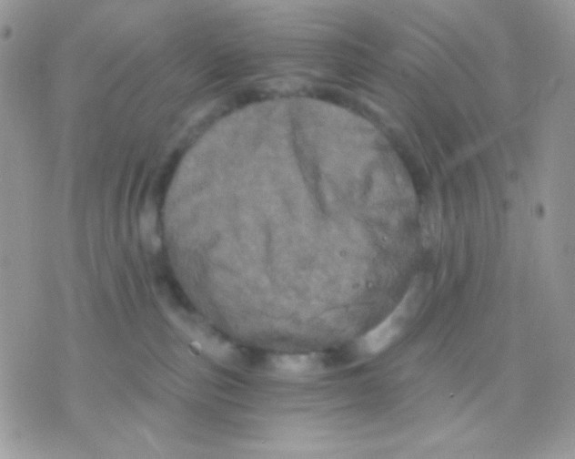 X0000071330187200607212016