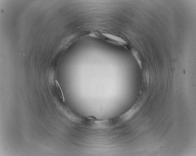 X0000071330188200607212016