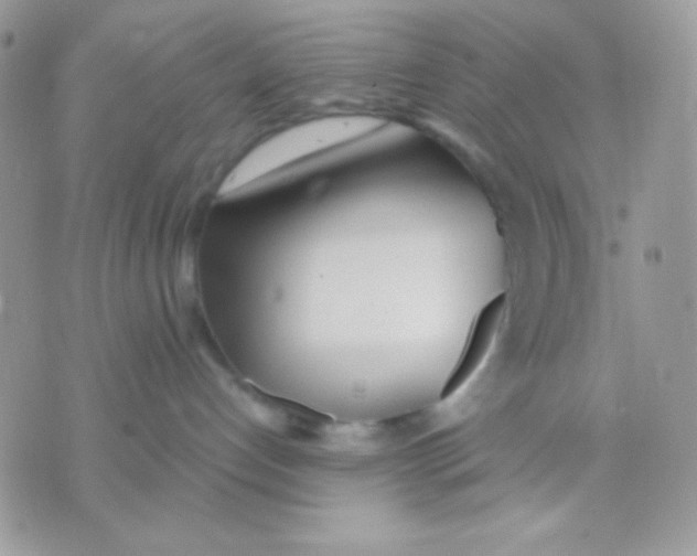 X0000071330192200607212016