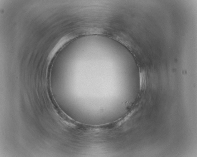 X0000071330195200607212015