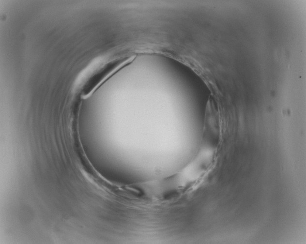 X0000071330197200607212015