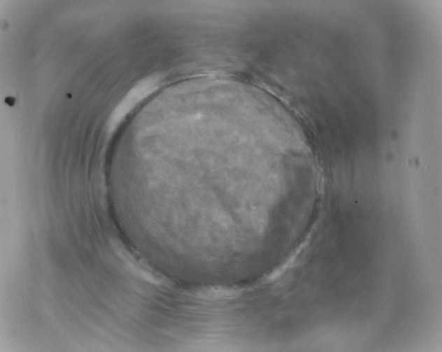 X0000071330198200607212015