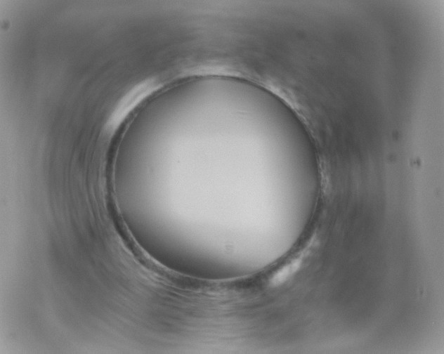 X0000071330199200607212015