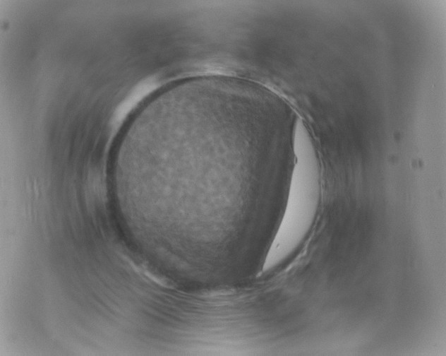 X0000071330200200607212015