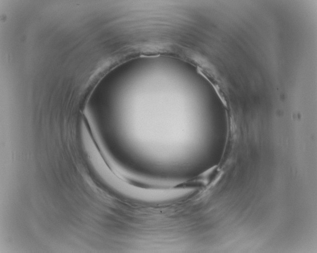 X0000071330201200607212015