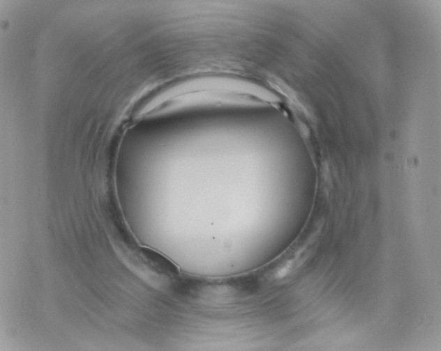 X0000071330203200607212015