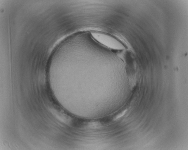 X0000071330204200607212015