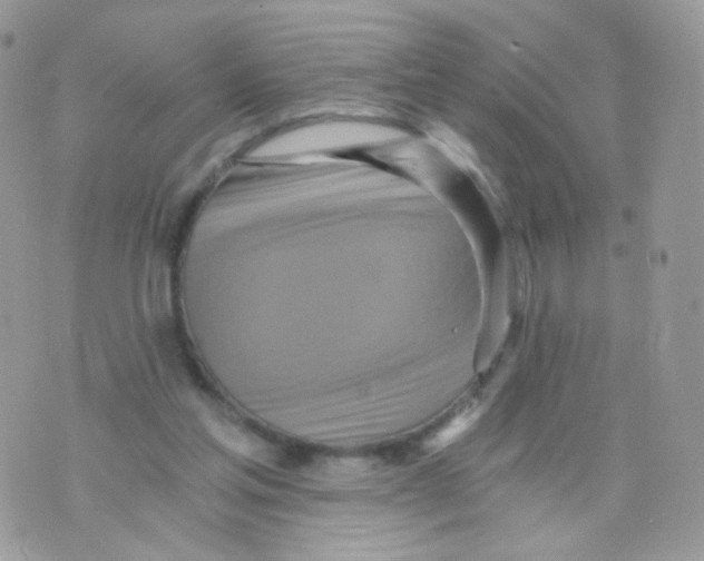 X0000071330205200607212015