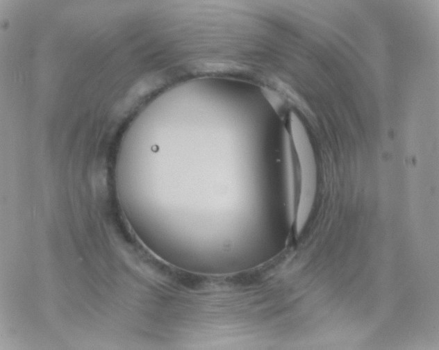 X0000071330207200607212015