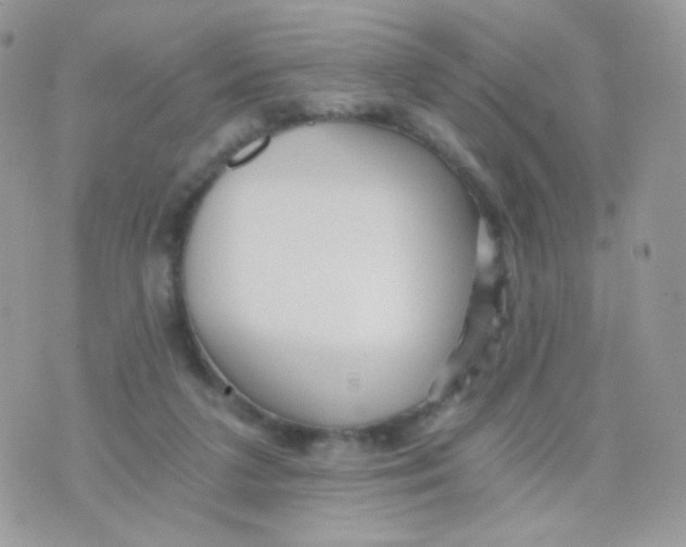 X0000071330211200607212015