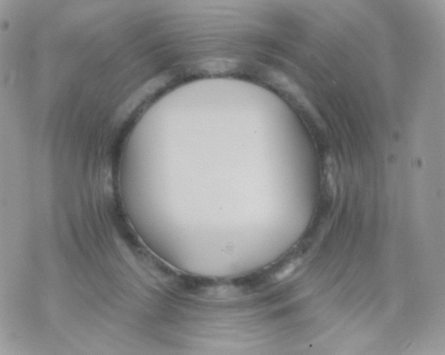 X0000071330212200607212015