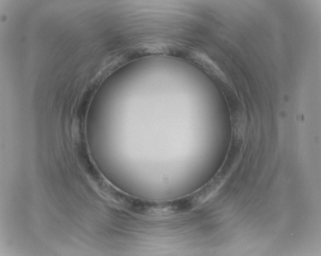 X0000071330213200607212015