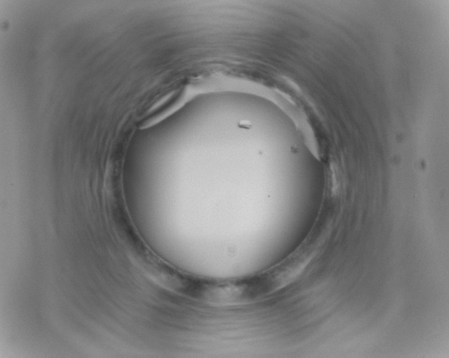 X0000071330217200607212015