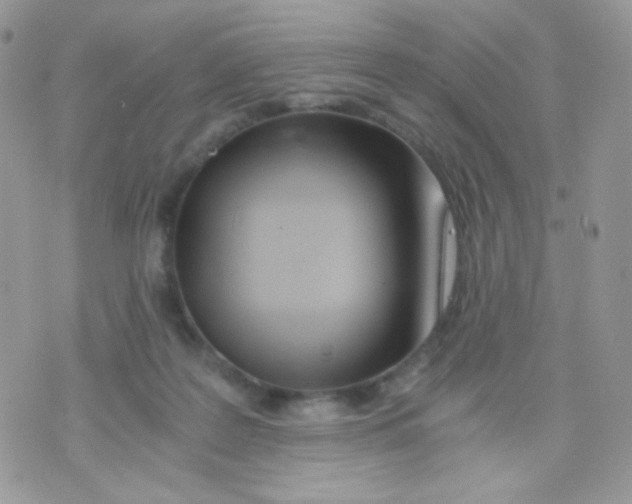 X0000071330219200607212015