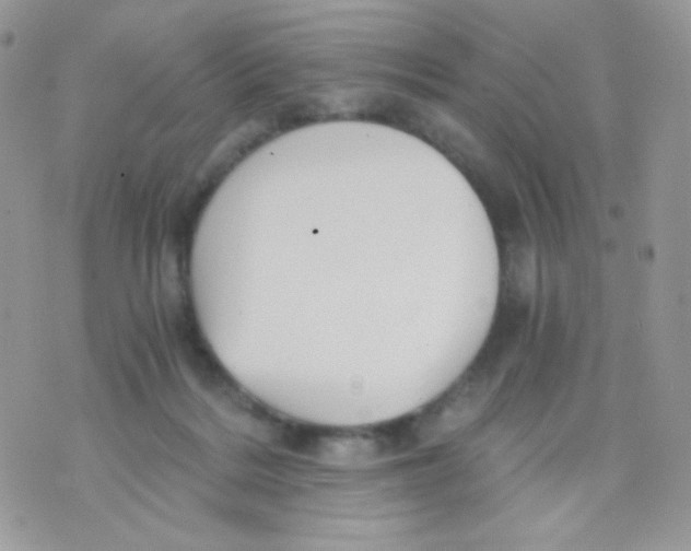 X0000071330220200607212015