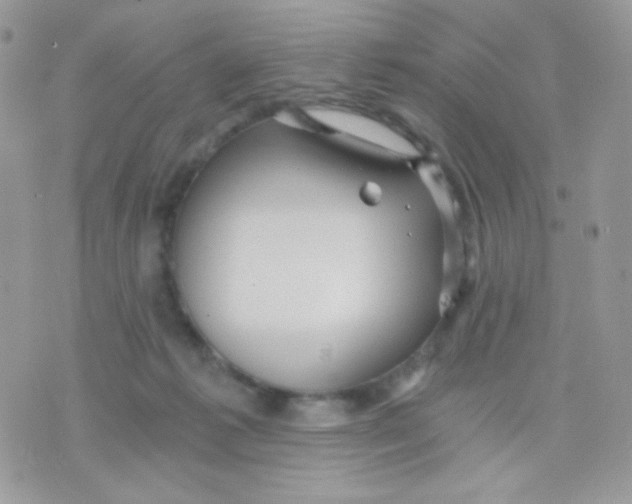 X0000071330221200607212015