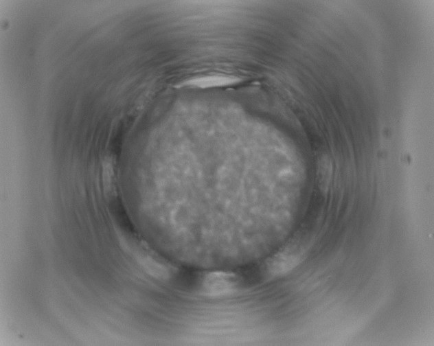 X0000071330222200607212015