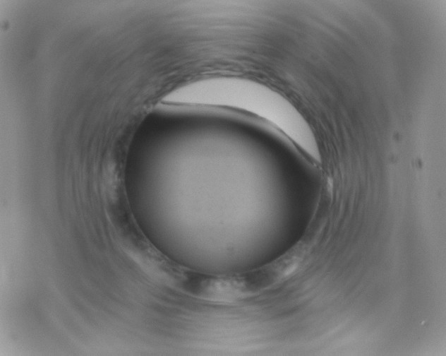 X0000071330223200607212015