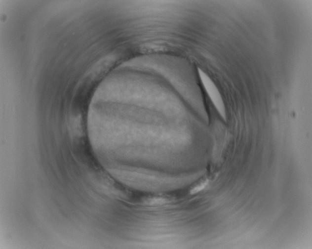 X0000071330224200607212015