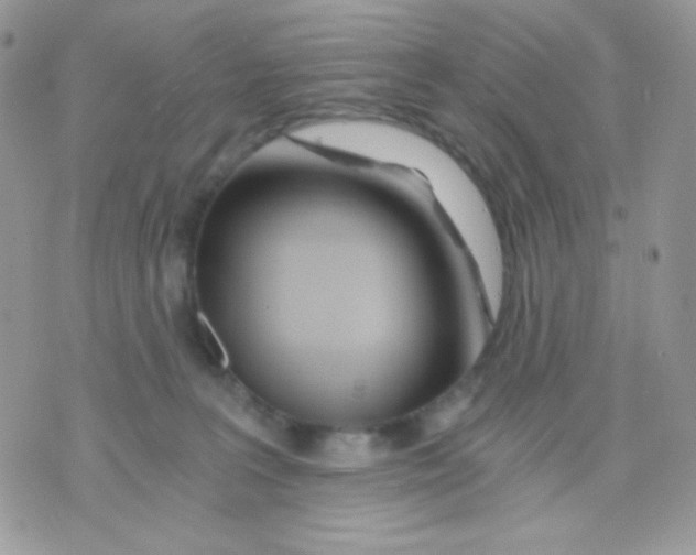 X0000071330227200607212015